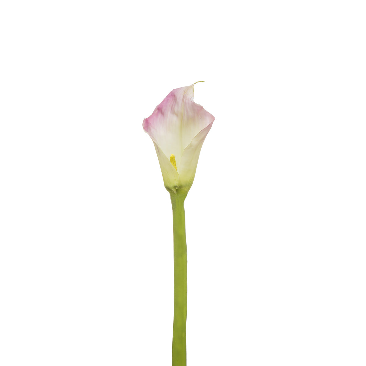 Sia Home Tige d'Arum Kelly fleur artificielle rose 92 cm