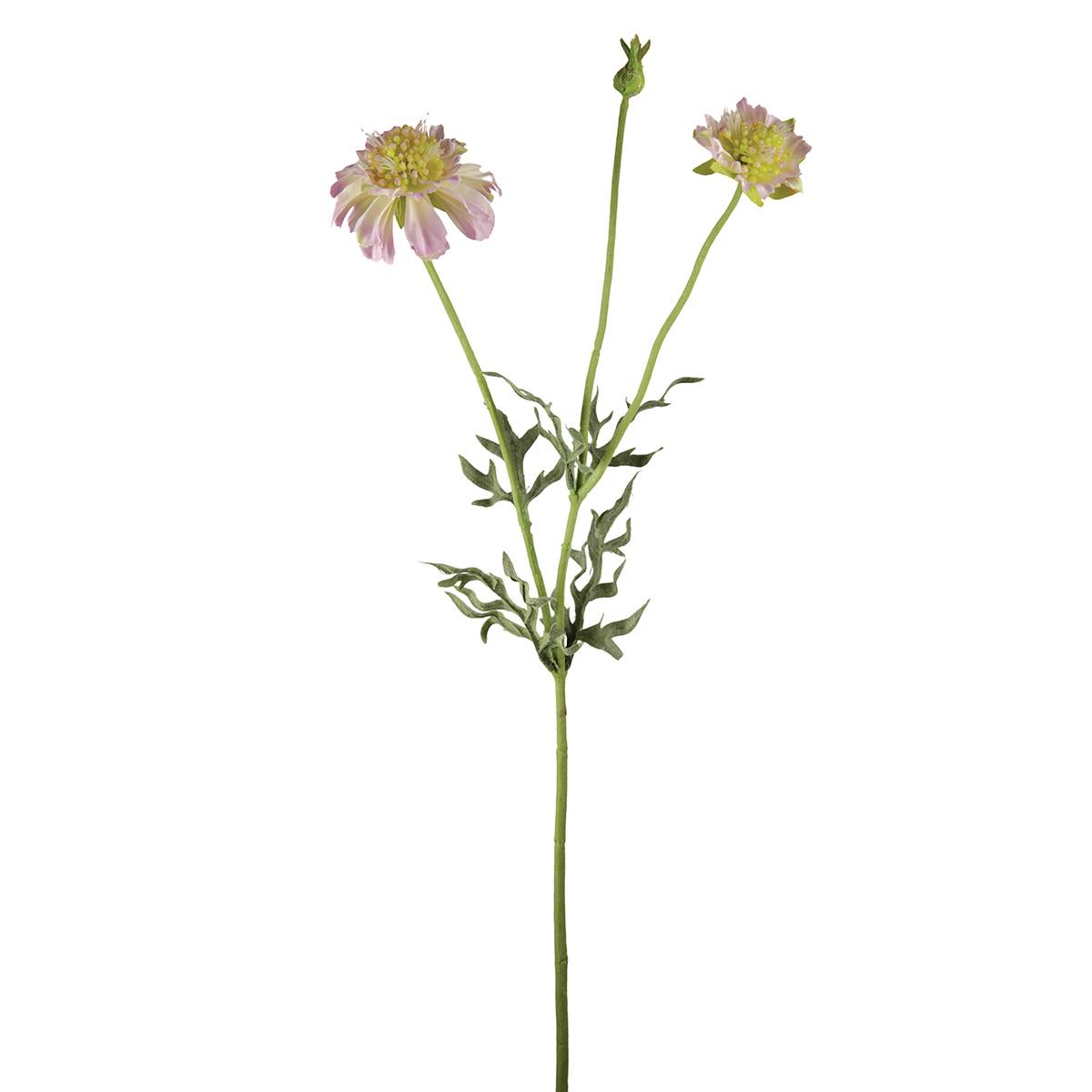 Sia Home Scabiosa tige fleur artificielle mauve 52 cm