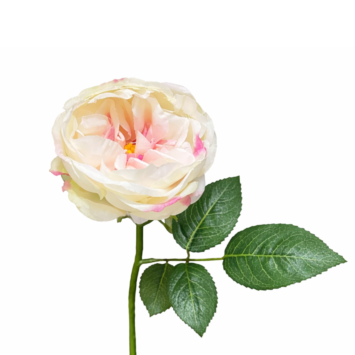 Sia Home Tige Rose Maria Waterproof 32 cm rose mauve