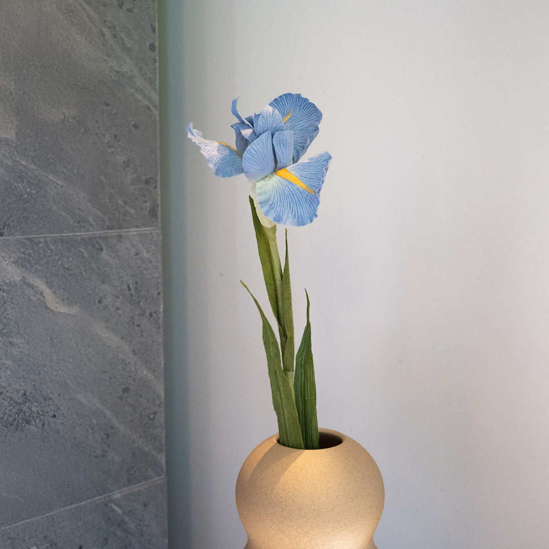 Flowrette Fleurs en papier Iris bleu x1 éternelle