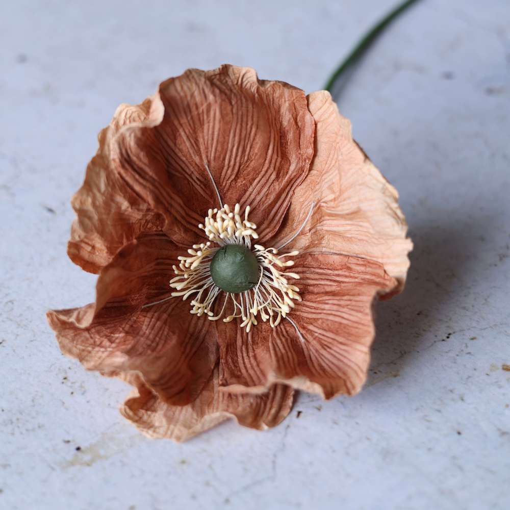 Flowrette Fleurs en papier Grand pavot fleur beige x1