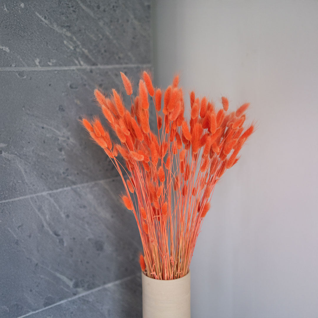 Flowrette lagurus orange fleur séchée botte duveteuse