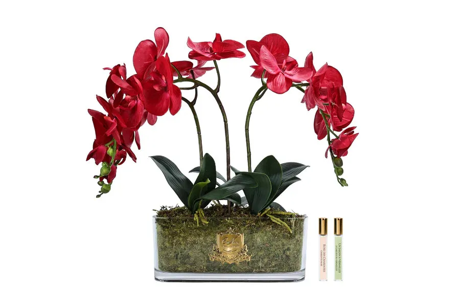 Côte Noire Orchidée OOV14 bouquet rouge ovale parfumé