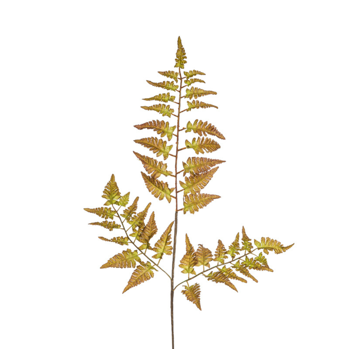 Sia Feuillages artificiels Fougère 80 cm marron et vert