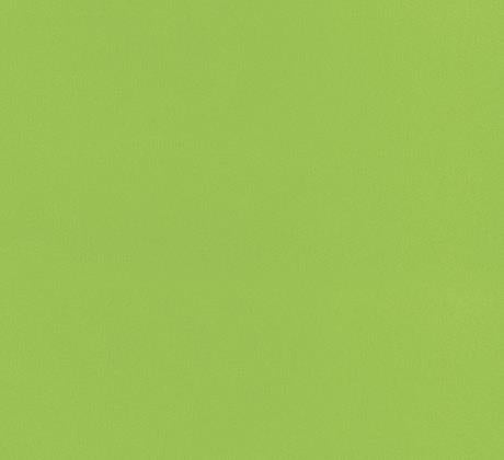 Feuillazur Rungis Vert clair moquette décorative 1m vert