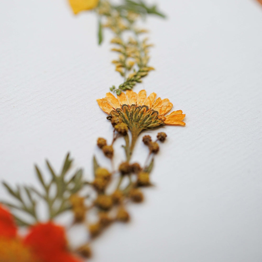 Flowrette Herbier Chant du Jardin A4 fleurs pressées fait main