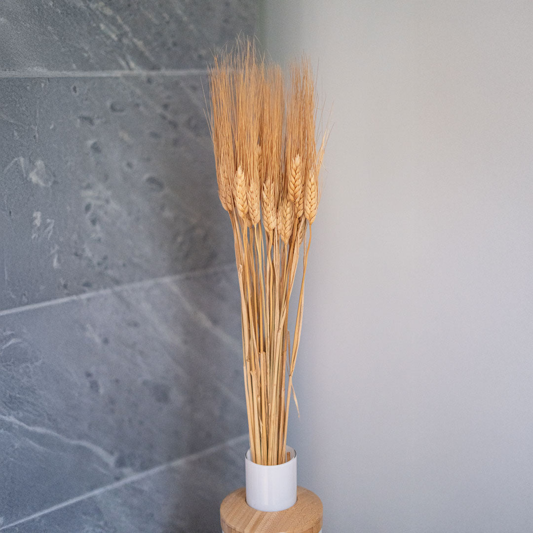 Flowrette botte orge naturel fleurs séchées beige x1