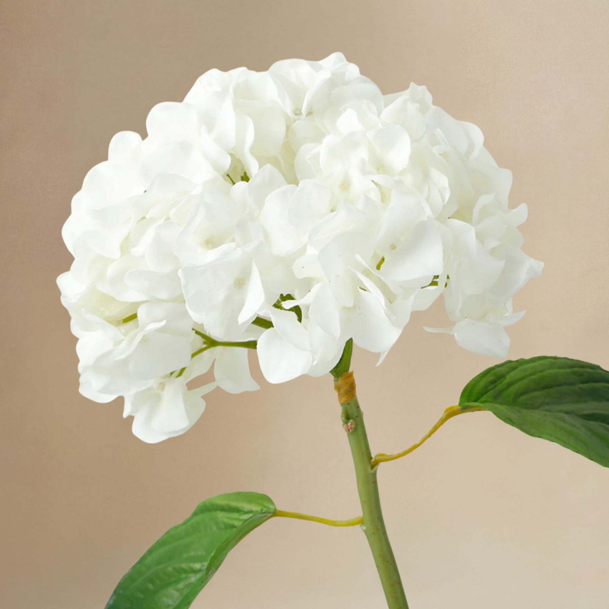 Sia Home Hortensias Vireya bouquet artificiel blanc vert 6 tiges