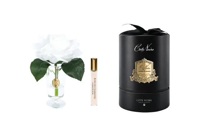 Côte Noire Perfumed Flowers CHR01 fleurs rose ivoire