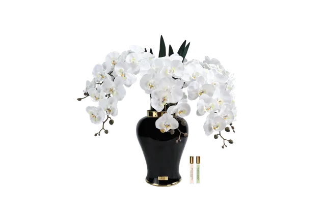 Côte Noire Imperial IMPBO01 orchidée blanche