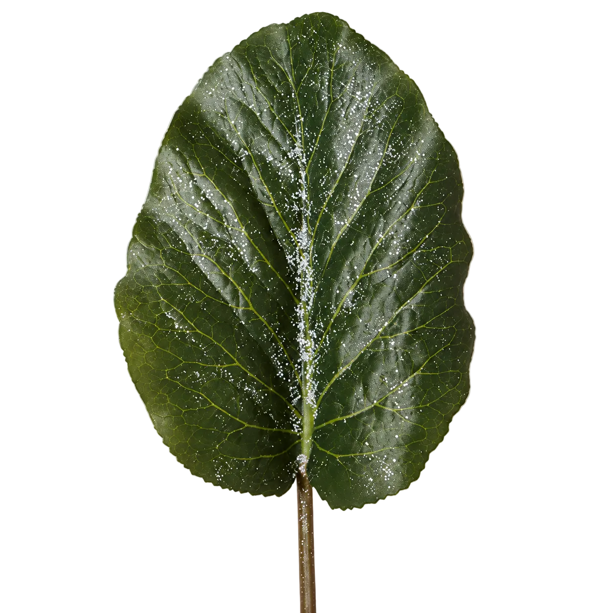 Sia Home Hosta feuille artificielle 40 cm verte pailletée