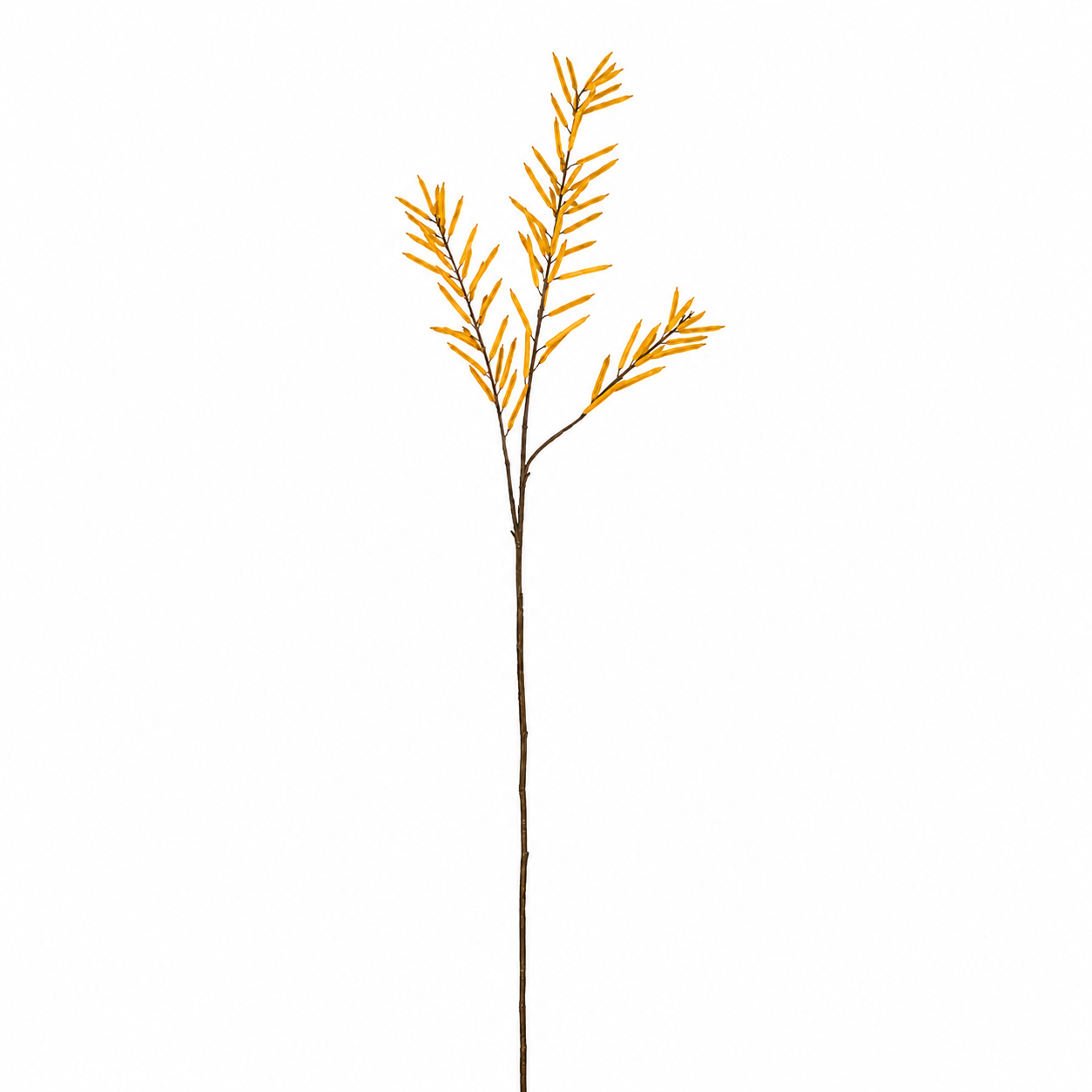 Sia Home Feuillage d'Haricots 114 cm tige artificielle marron