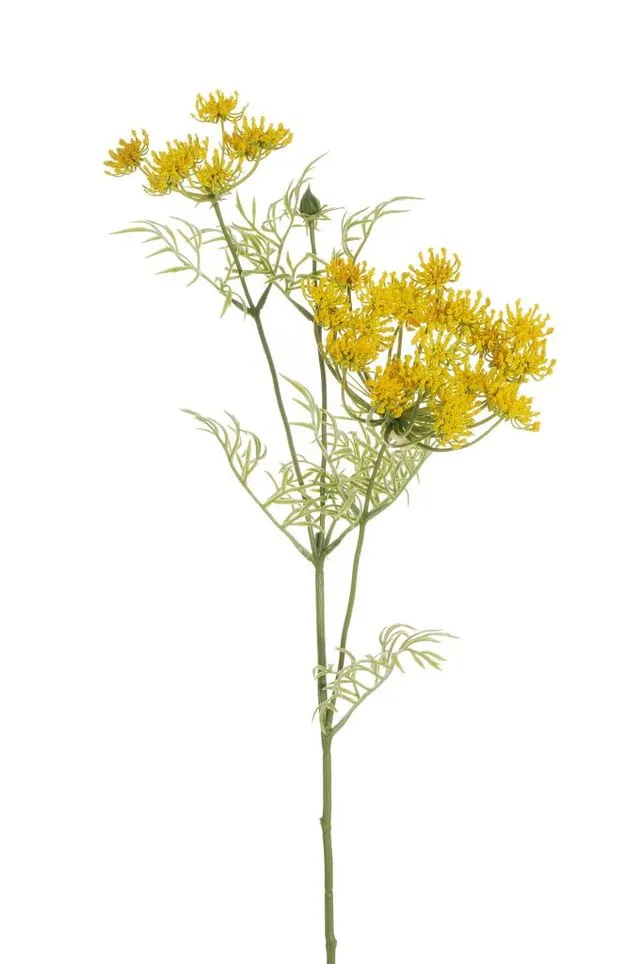 Feuillazur Rungis Branche wild carrot fleur jaune 72cm