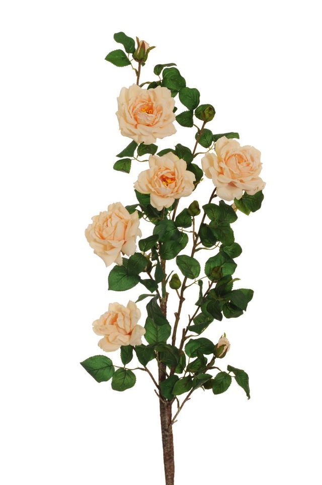 Feuillazur Rungis Rose de jardin sur tige saumon 103 cm