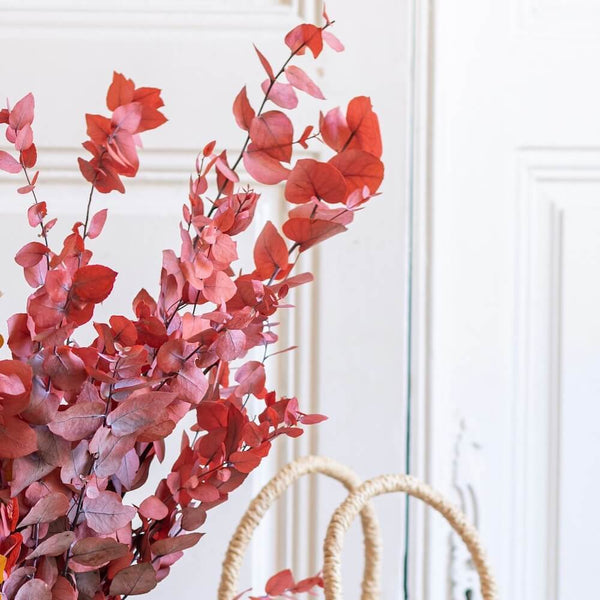 Flowrette Eucalyptus Stuartiana fleurs stabilisées rouge