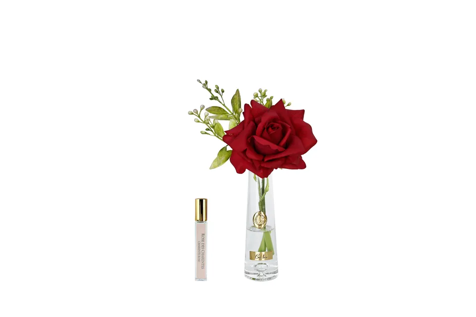 Côte Noire SRG04 fleur summer rose rouge vase doré