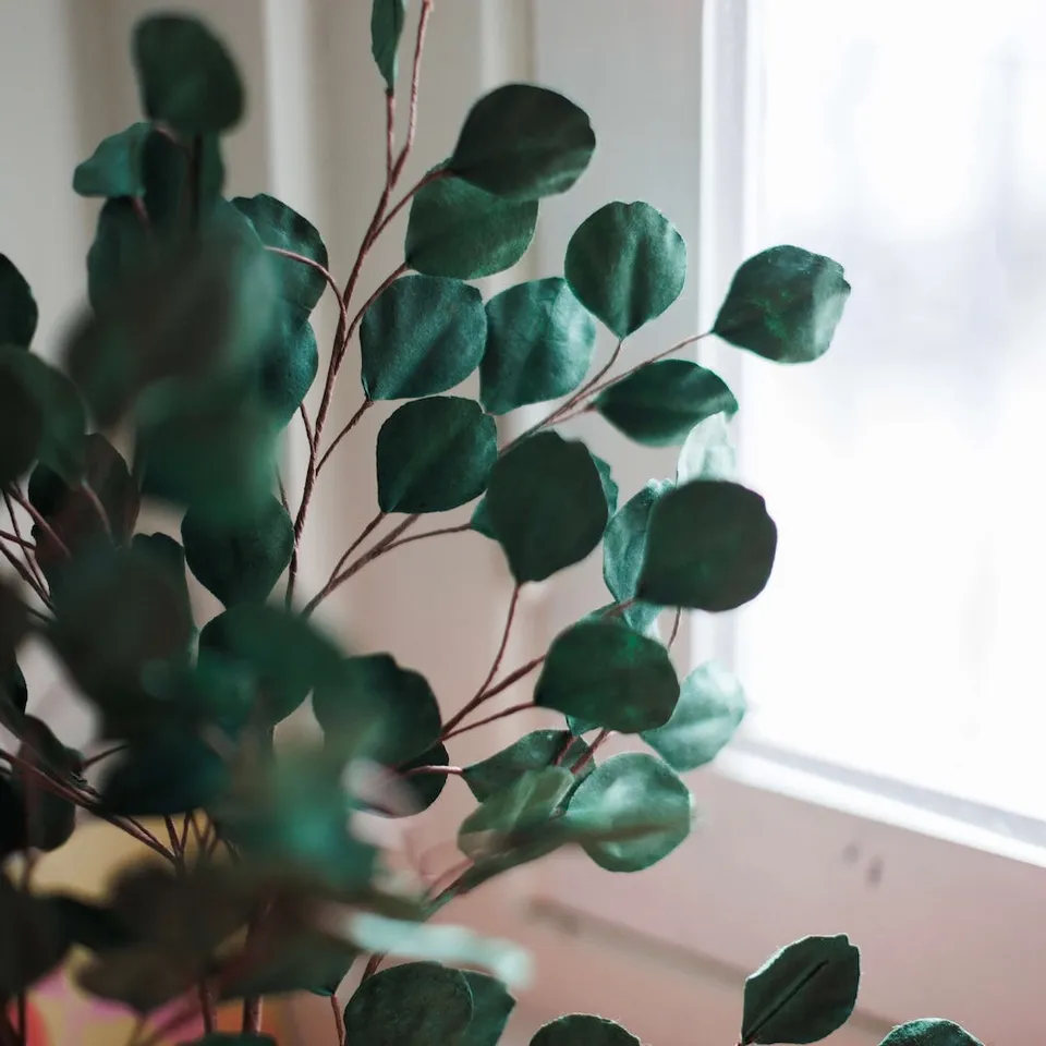Flowrette Eucalyptus gum tree fleur en papier vert forêt x1