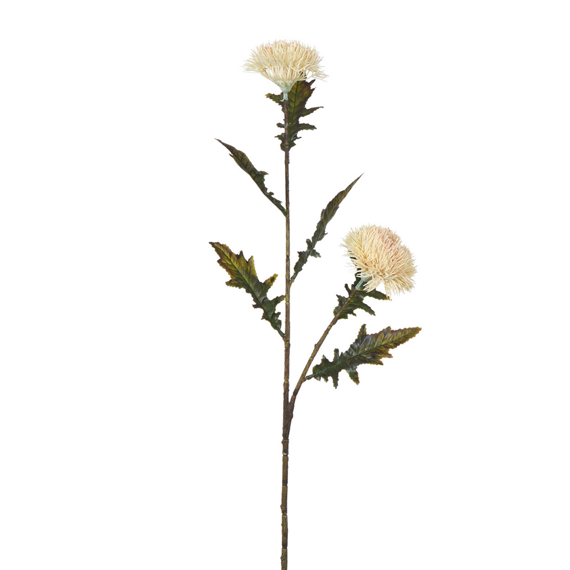 Sia Home Chardon tige fleur artificielle blanc 78 cm