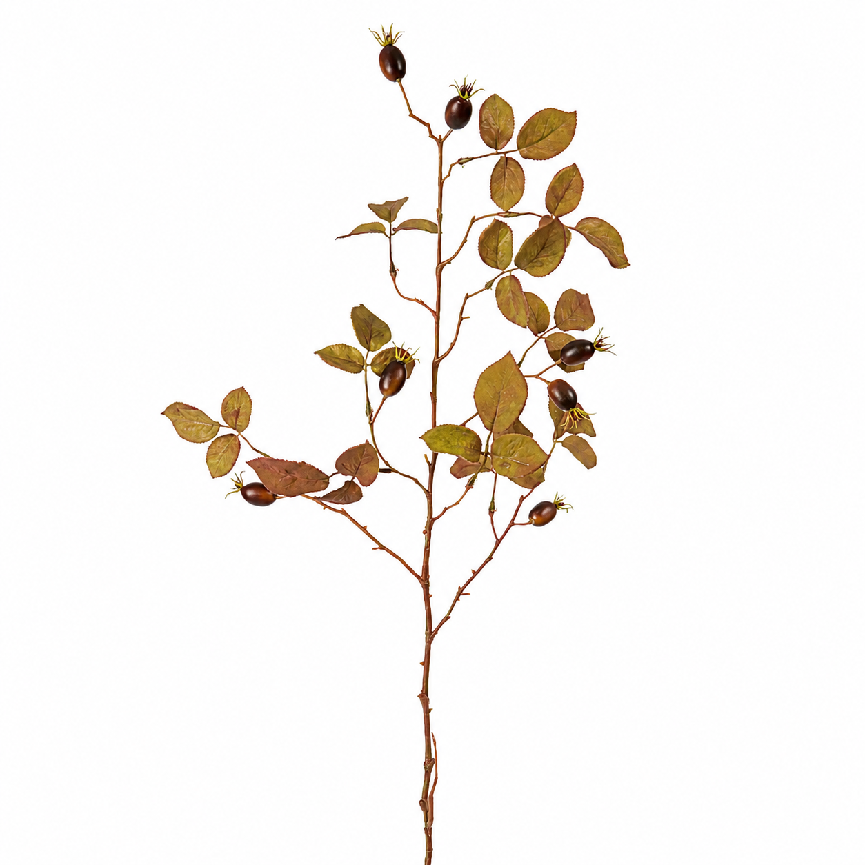 Sia Home Eglantier feuillage artificiel marron 100 cm