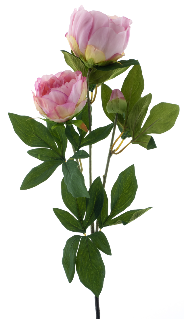 Feuillazur Rungis Pivoine branche artificielle 65 cm rose clair