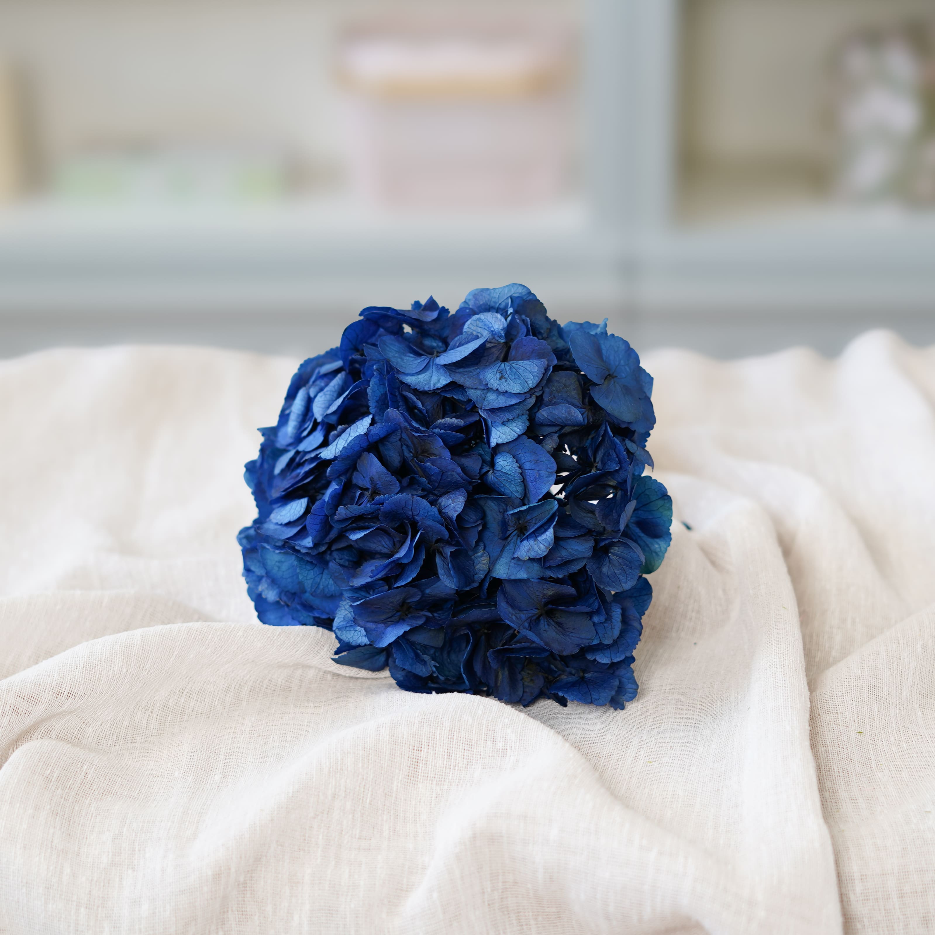Flowrette Hortensia Bleu fleur stabilisée x1 volume