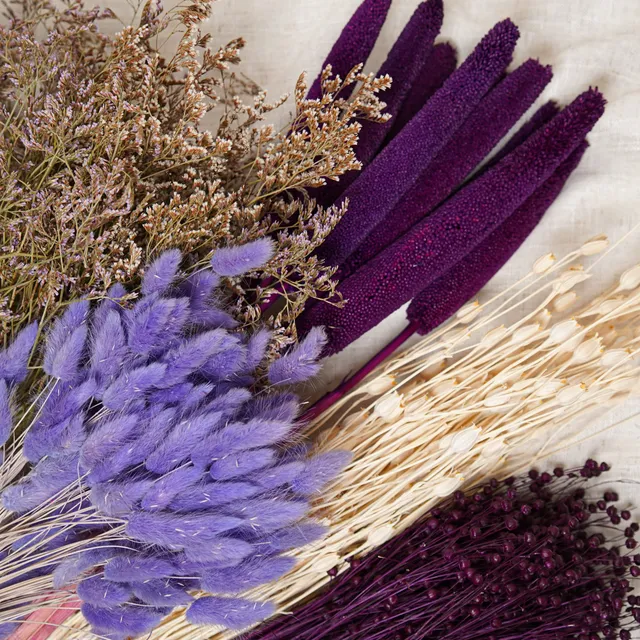 Flowrette Assortiment fleurs séchées violettes 5 bottes