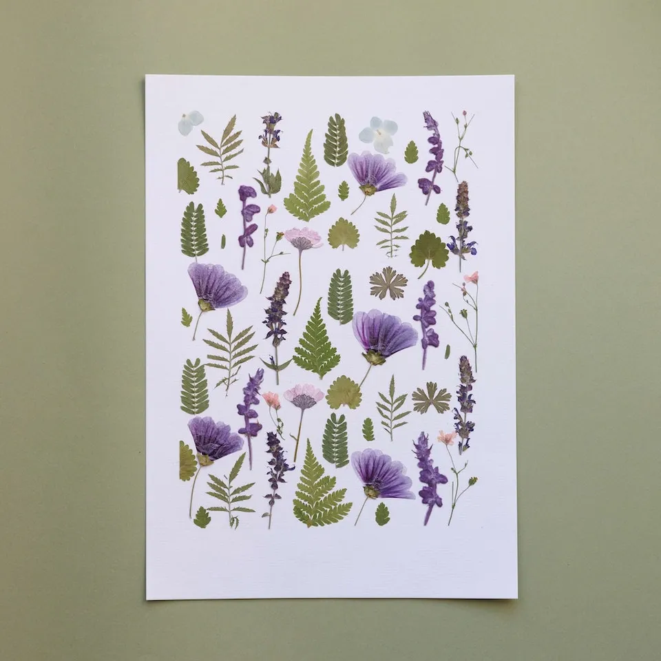 Flowrette Symphonie Végétale herbier A4 pressé