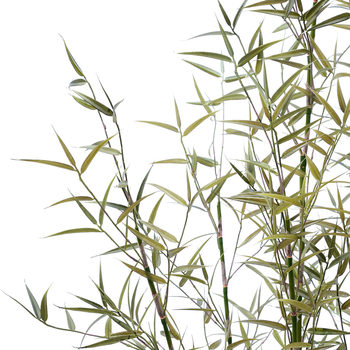 Sia Home Bambou arbre artificiel vert 125 cm en pot