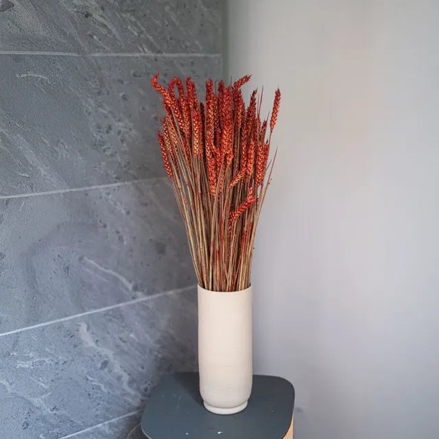 Flowrette Blé botte fleurs séchées rouge x1