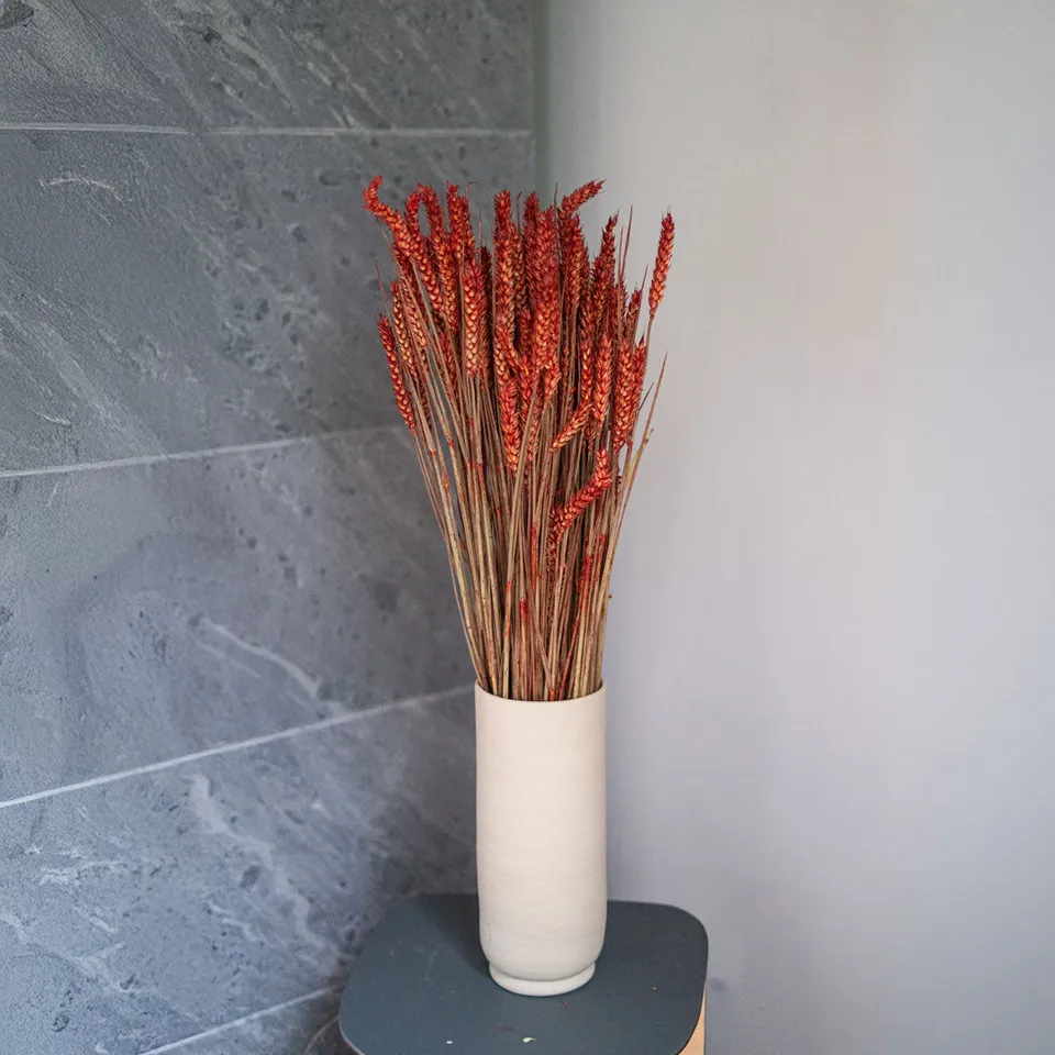 Flowrette Blé botte fleurs séchées rouge x1