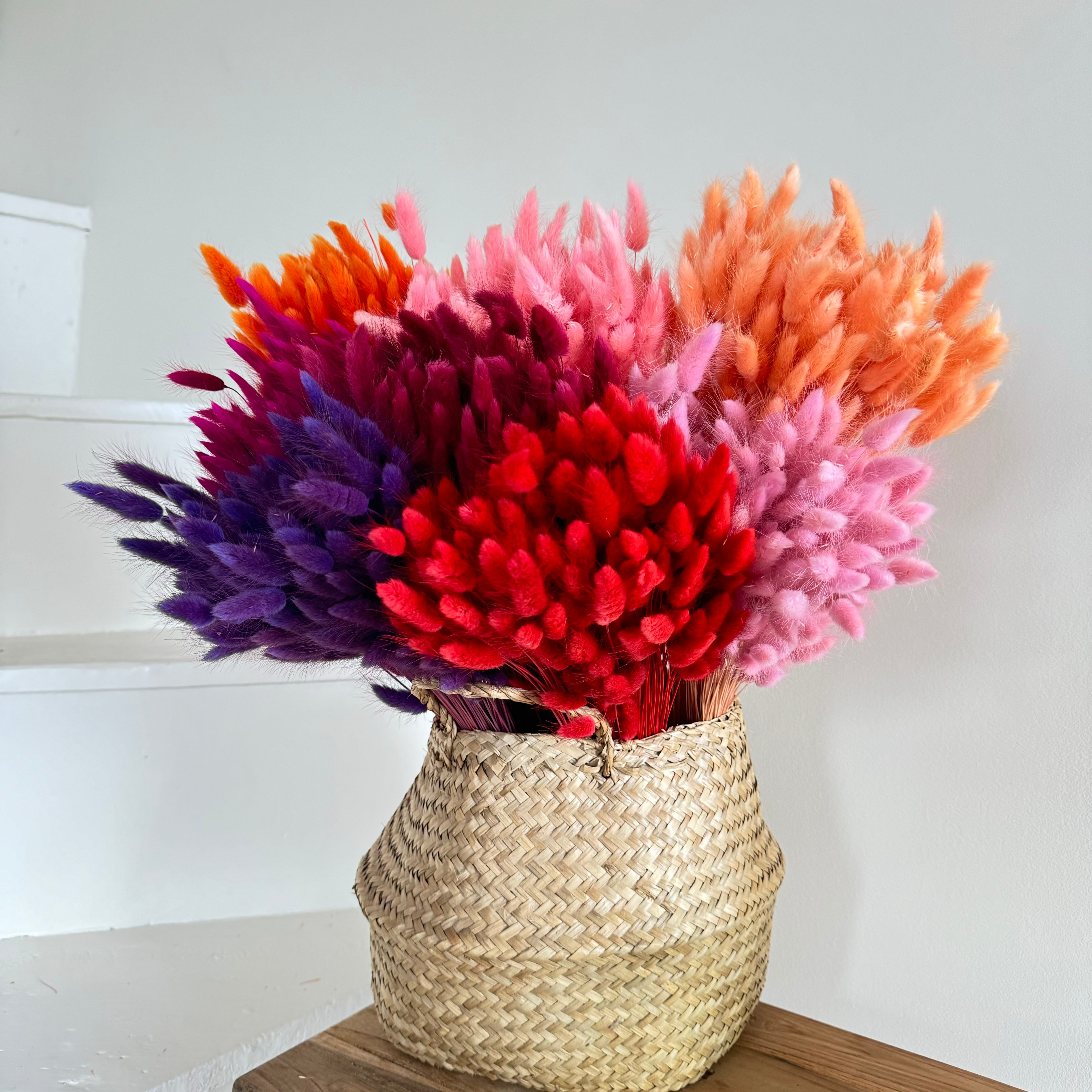 Flowrette Lagurus botte fleurs séchées magenta x1