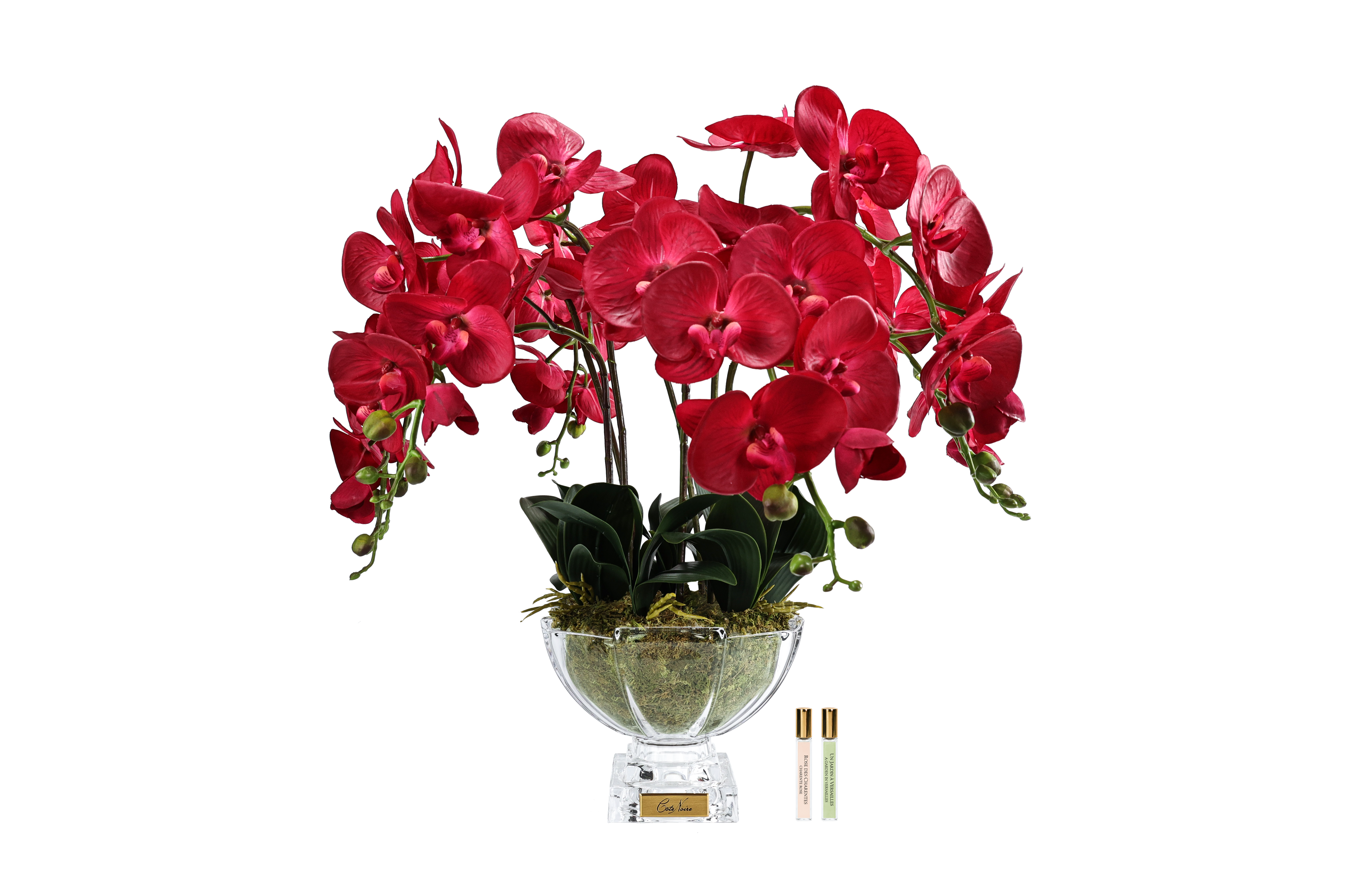 Côte Noire Centrepiece CPO14 orchidées rouges parfumées