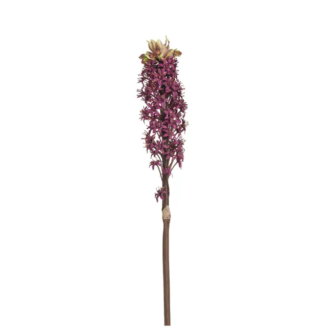 Sia Home Tige Lis Ananas fleur bordeaux 90 cm
