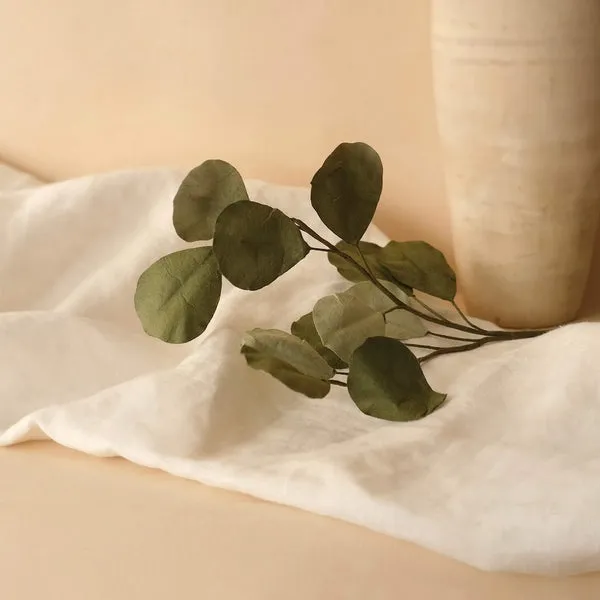 Flowrette Eucalyptus Populus papier vert mixte unité