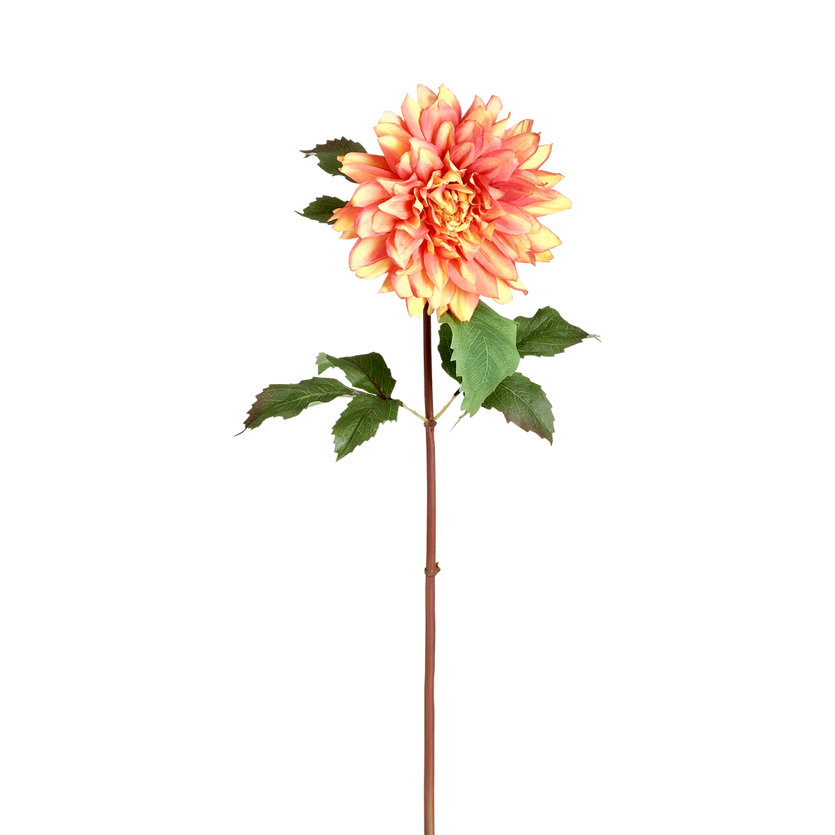Sia Home Dahlia Premium 70 cm fleur artificielle orange