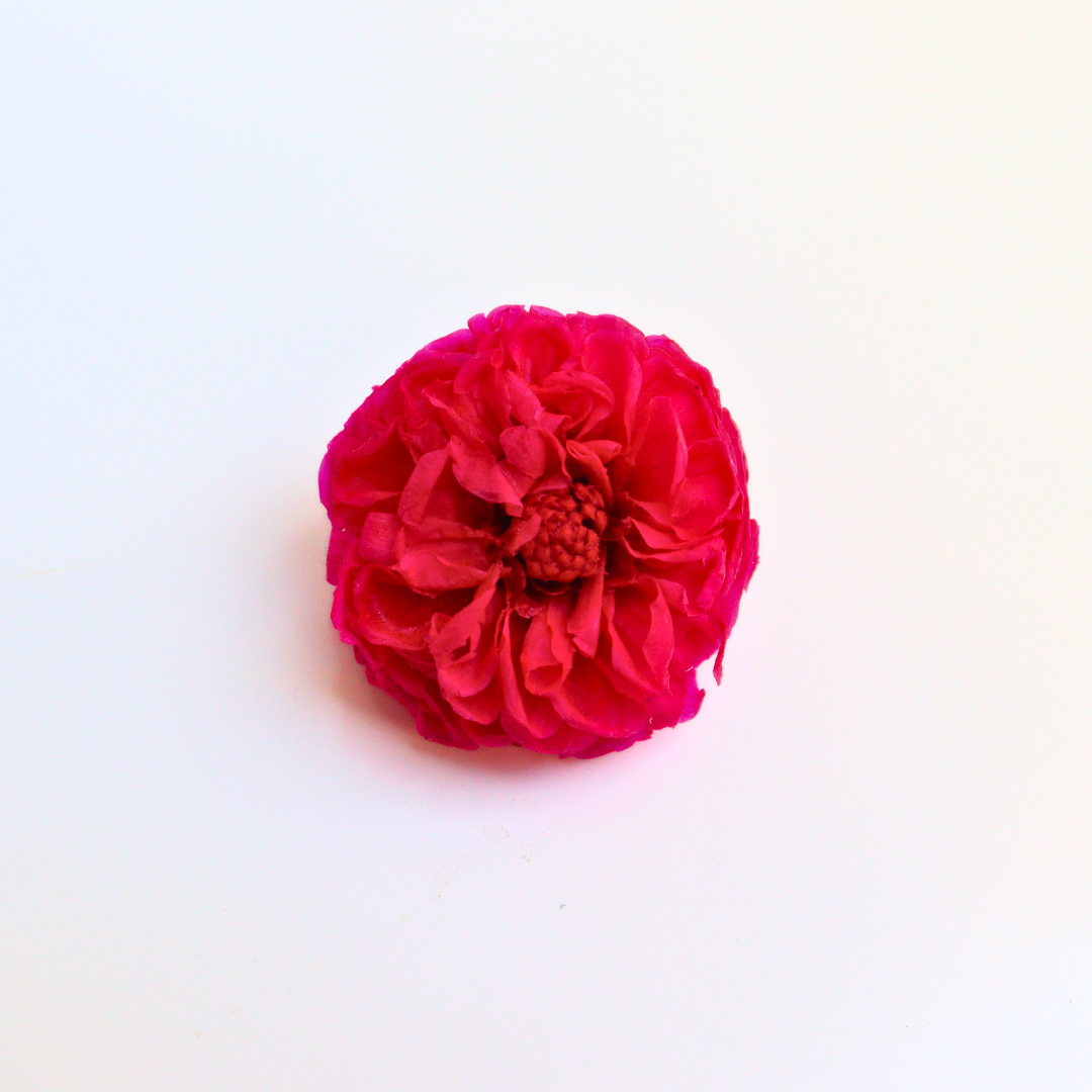 Ateliers Ouchamp Place de Breteuil barrette fuchsia dahlia 5 cm