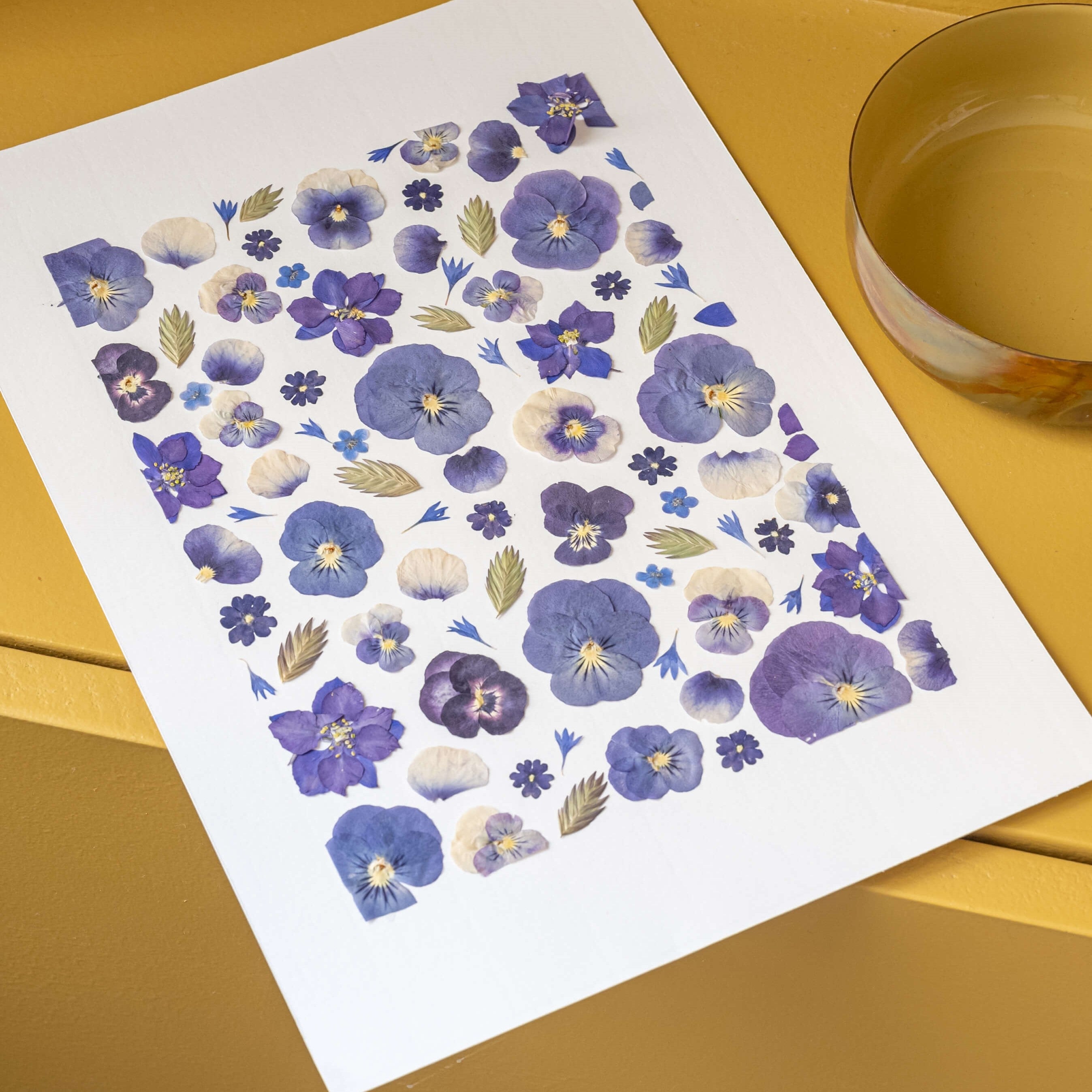 Flowrette Herbier Pensée Sauvage A4 fleurs pressées bleues