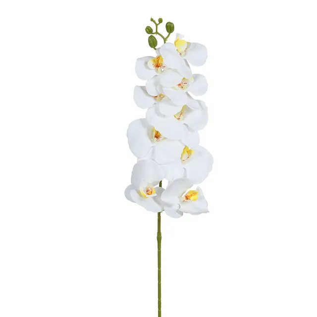 Sia Home Tiges de Fleurs Orchidée 90 cm tige blanc et jaune