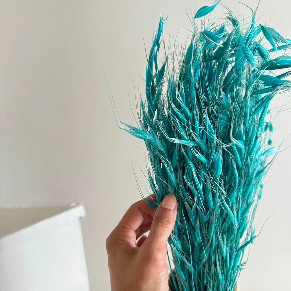 Flowrette Avoine turquoise botte fleurs séchées x1