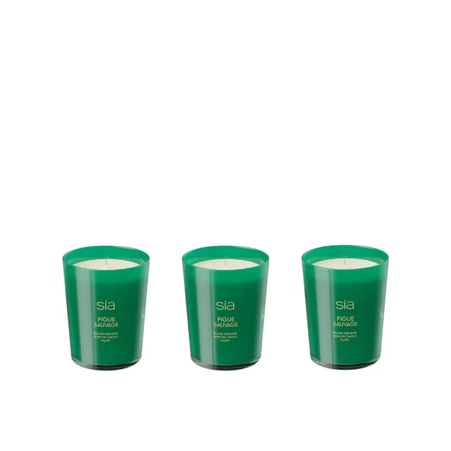 Sia Figue Sauvage bougie parfumée verte figuier jasmin