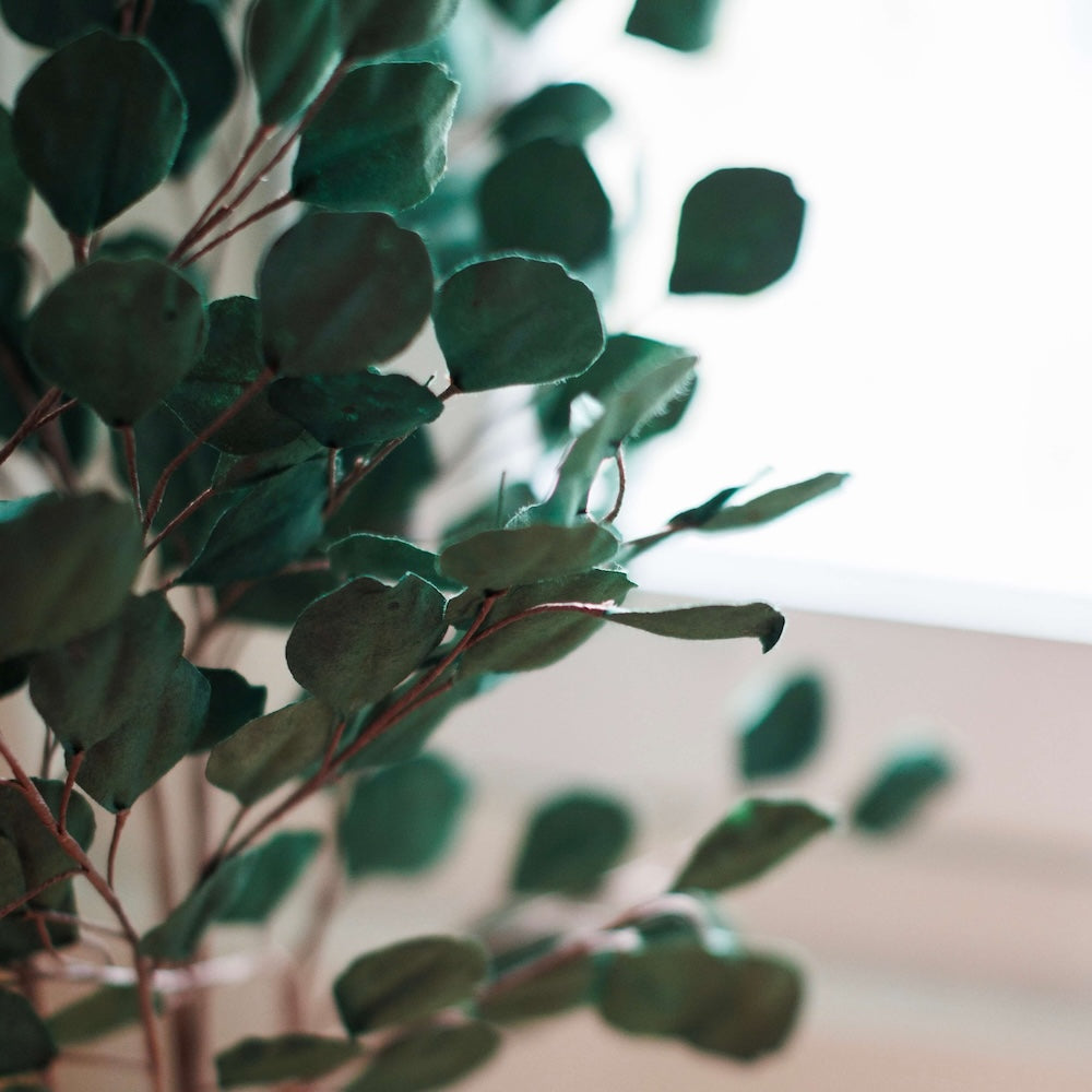Flowrette Eucalyptus gum tree fleur en papier vert forêt x1