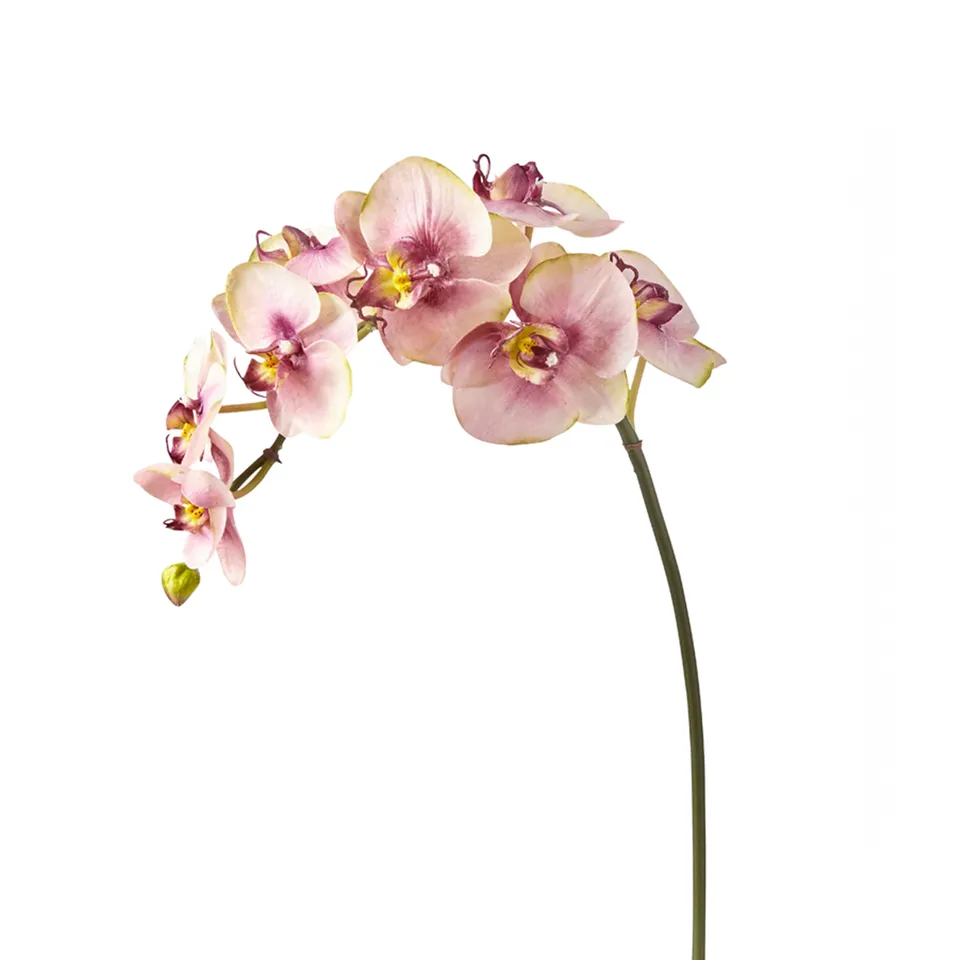 Sia Home Budy Tige Orchidée Rose Fuchsia 87 cm Tissu