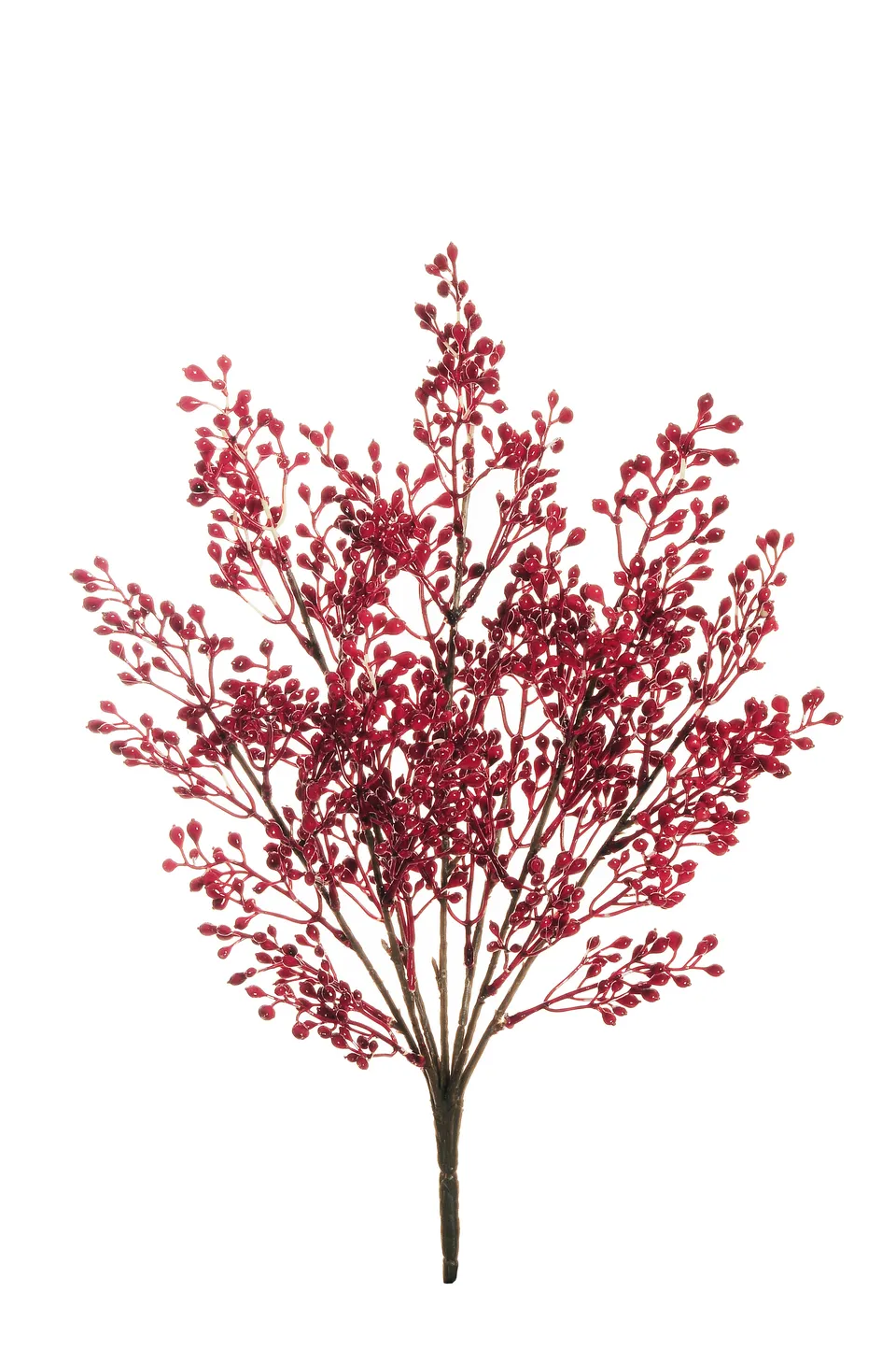 Feuillazur Rungis Produits de saison branche de baies rouge 46 cm