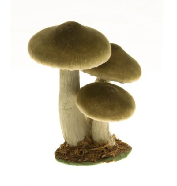 Feuillazur Rungis Contenants 3 champignons verts déco automne sur socle