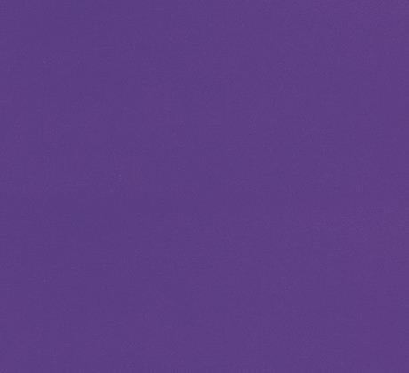 Feuillazur Rungis Contenants & Décoration Moquette violet 1m