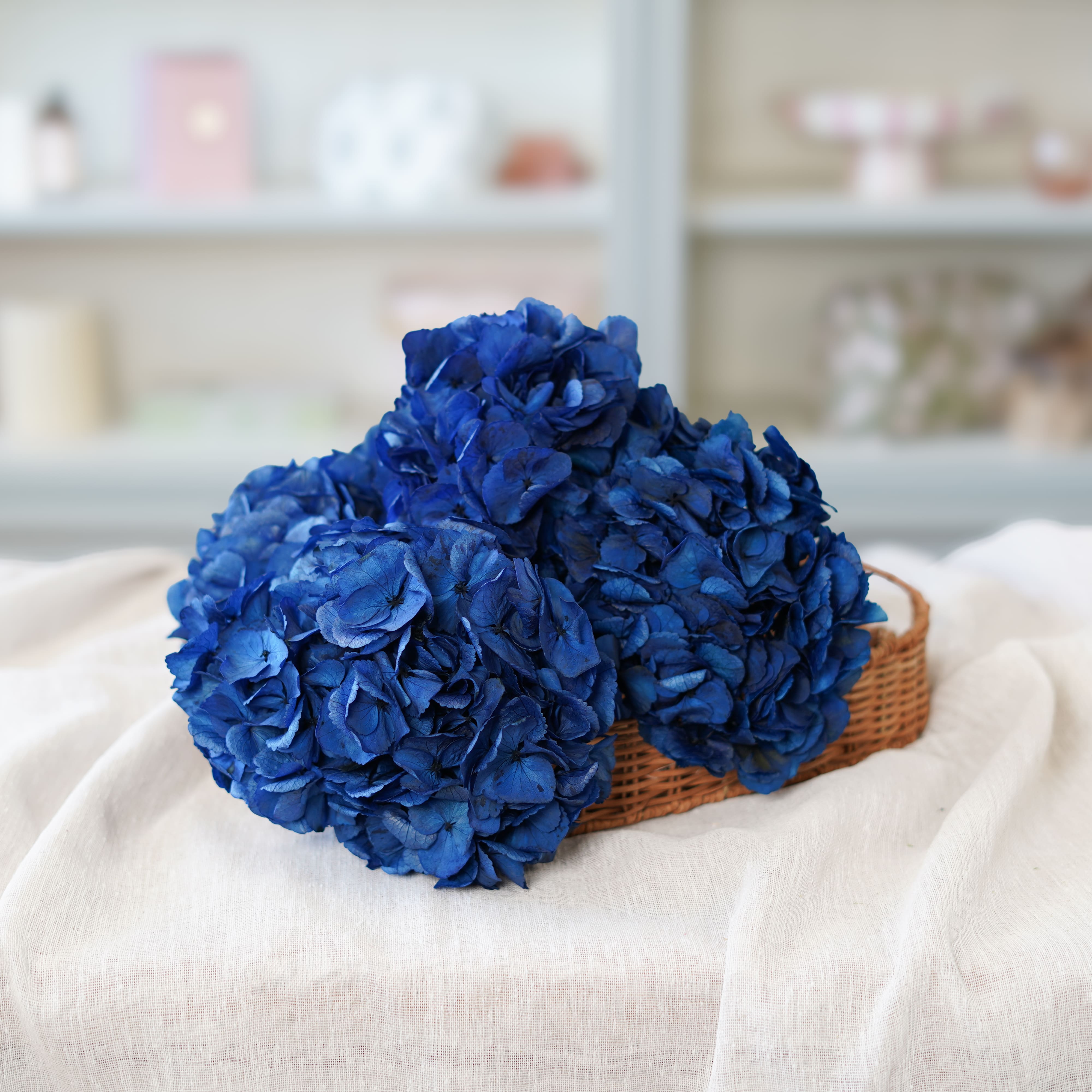 Flowrette Hortensia Bleu fleur stabilisée x1 volume