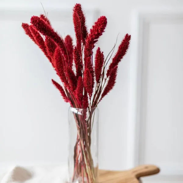 Flowrette Setaria rouge botte fleurs séchées pour vase