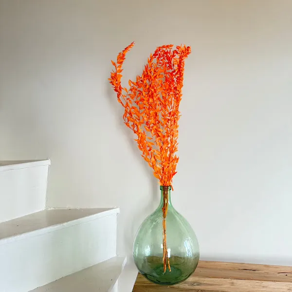 Flowrette ruscus fishing bouquet fleurs séchées vert