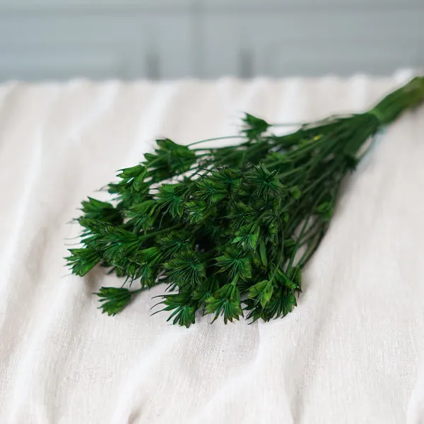Flowrette Nigella bouquet fleurs séchées vert orientalis