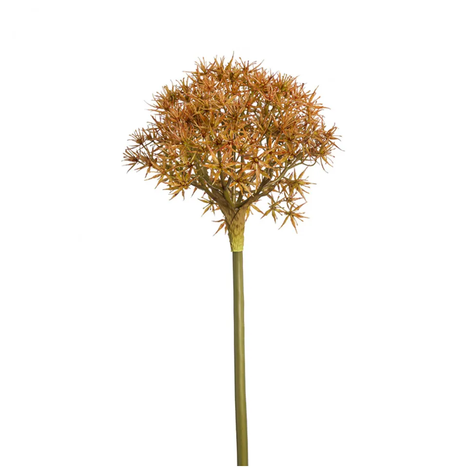 Sia Home Allium Atropurpureum tige artificielle orange 89 cm